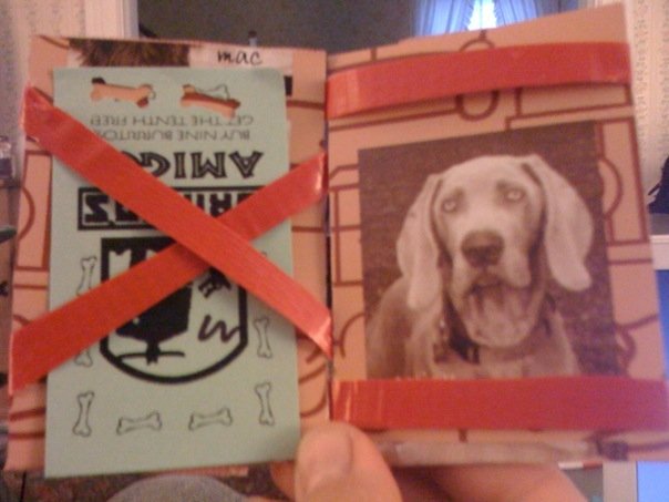 Dorrie's wallet, made out of a dog biscuit box. Too cute!